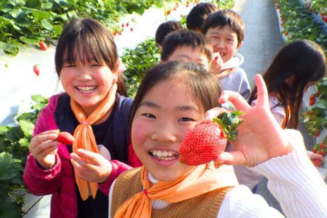 サギヌマキッズ｜スイミングクラブ｜ジュニア・子ども向けイベント